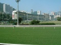 Happy valley race course
